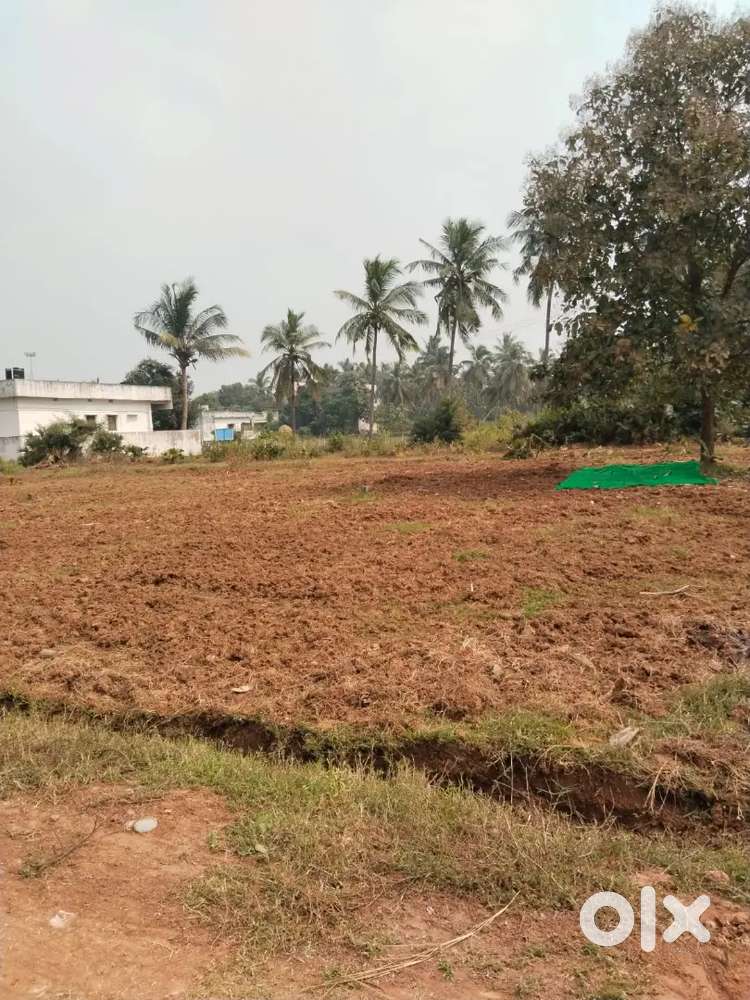 Anandapuram NH16 highway facing open plots for sale