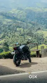Dominar 400 (2021) with MotoTorque Crash Guard