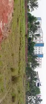 Build your dream house