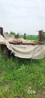Tractor trolly new tyres 95% for sale in Panipat ,