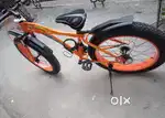 Appgrow fat tyre bicycle