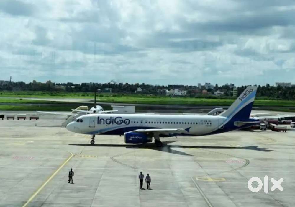 Indigo airlines ground staff vacancies open