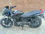 Pulsar 150 CC 2020 model