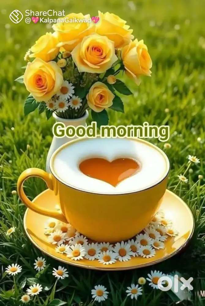 HELPER FOR OUR CAFFE