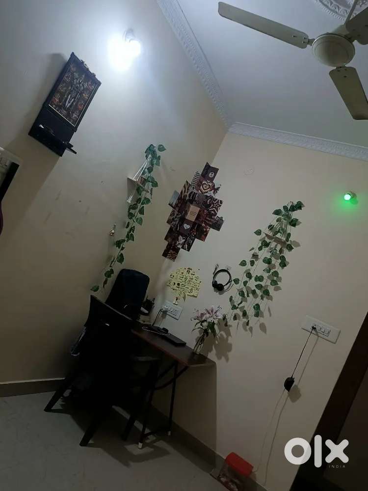 Searching for flatmate