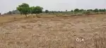 23 lakh per Acre Only,1 Acre Agriculture land for sale