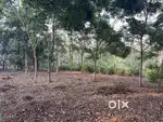 40 CENT HOUSE PLOT FOR SALE IN ONDAYANGADI