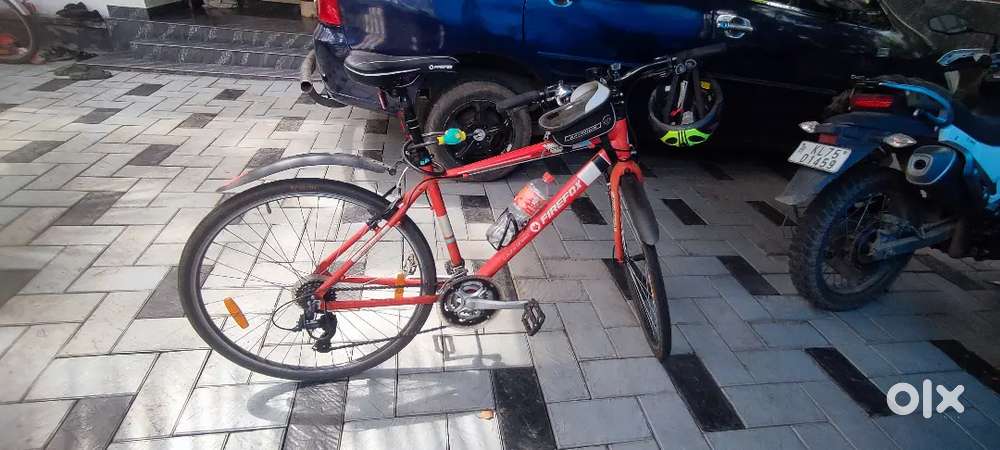 Firefox Rapide Medium Size