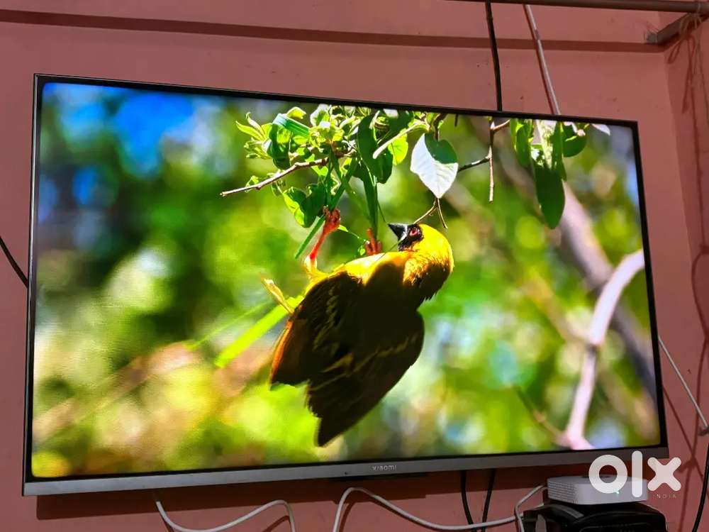 Xiaomi 42 inch Smart google TV