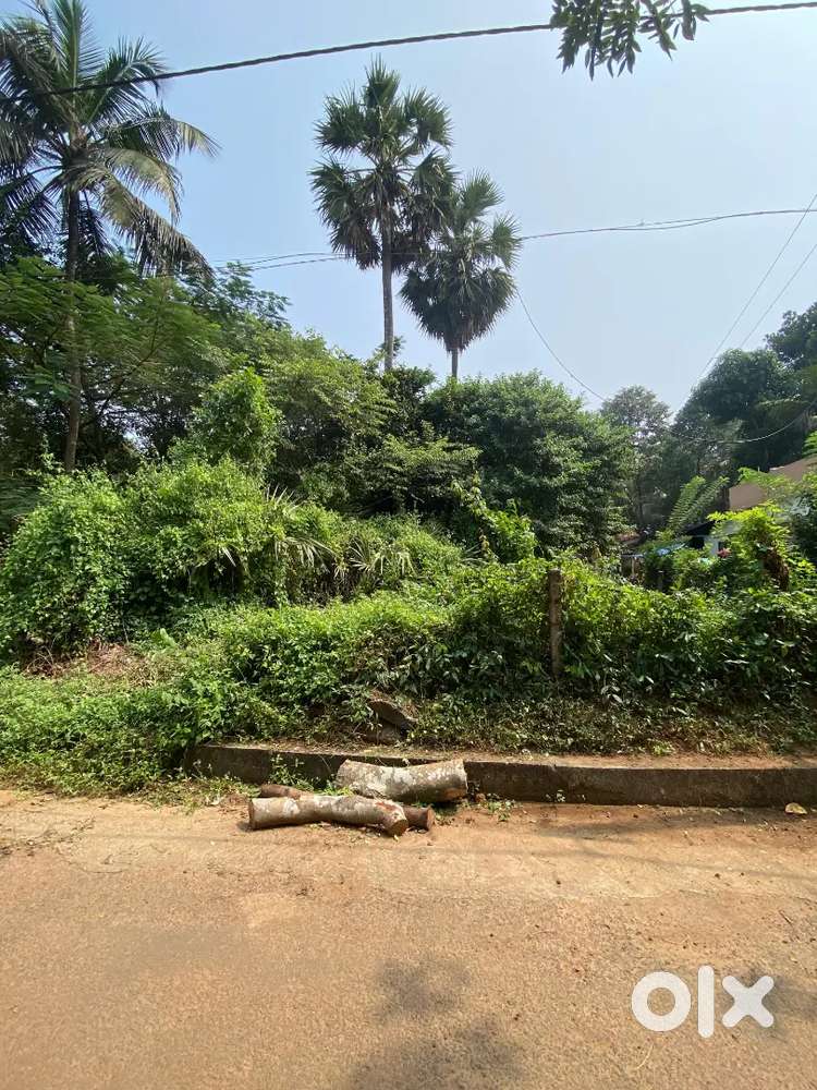 Land for sale -10 cents