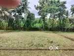 Nedumbassery