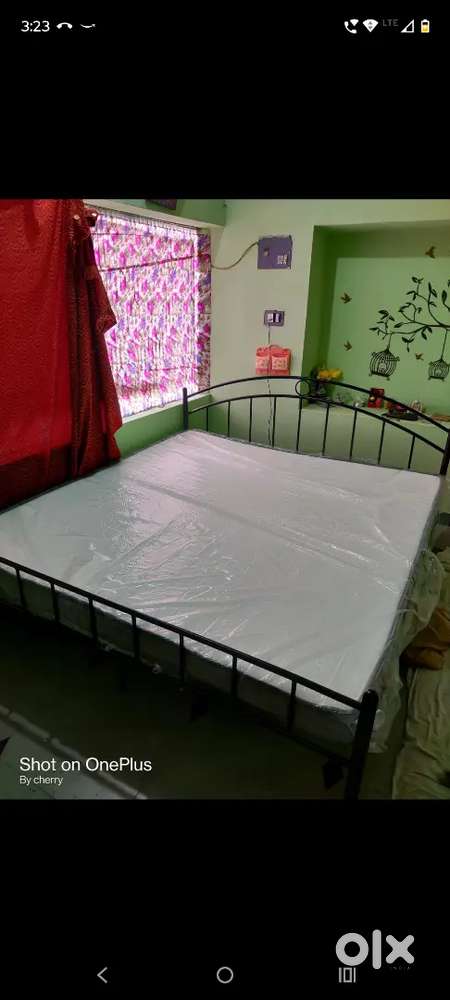 Urgent sell king size steel bed with plywood