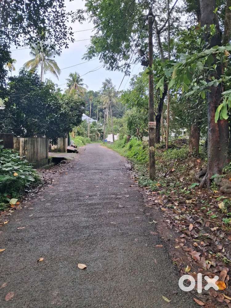 അടിച്ചിലി ജംഗ്ഷനിൽ നിന്നും 300 മീറ്റർ അടുത്ത്.