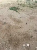 Plot selling jaipur road