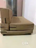 Sofa Cum Bed