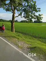 Roadside Land for sale (Patiladaha, Pincode 783391)
