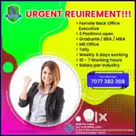 Back Office Executive