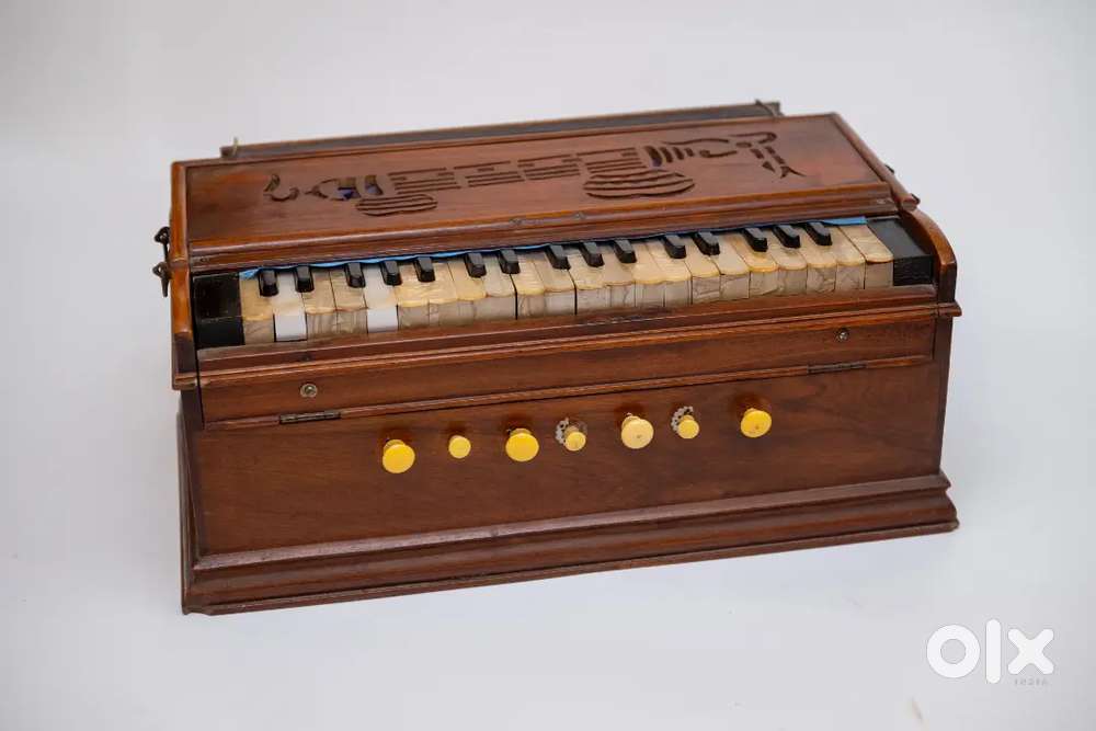 Harmonium musical instrument