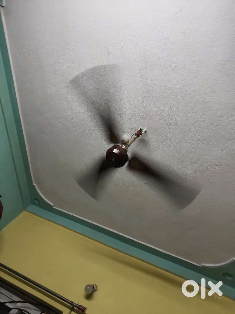Ceiling fan for sell