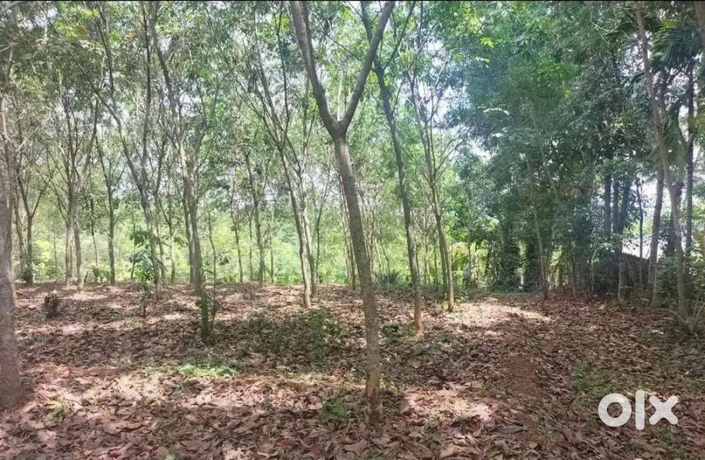 1acre 53 cent land for sale