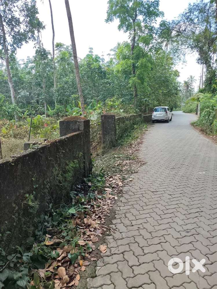 Muvattupuzha kalampoor 1 acre for sale