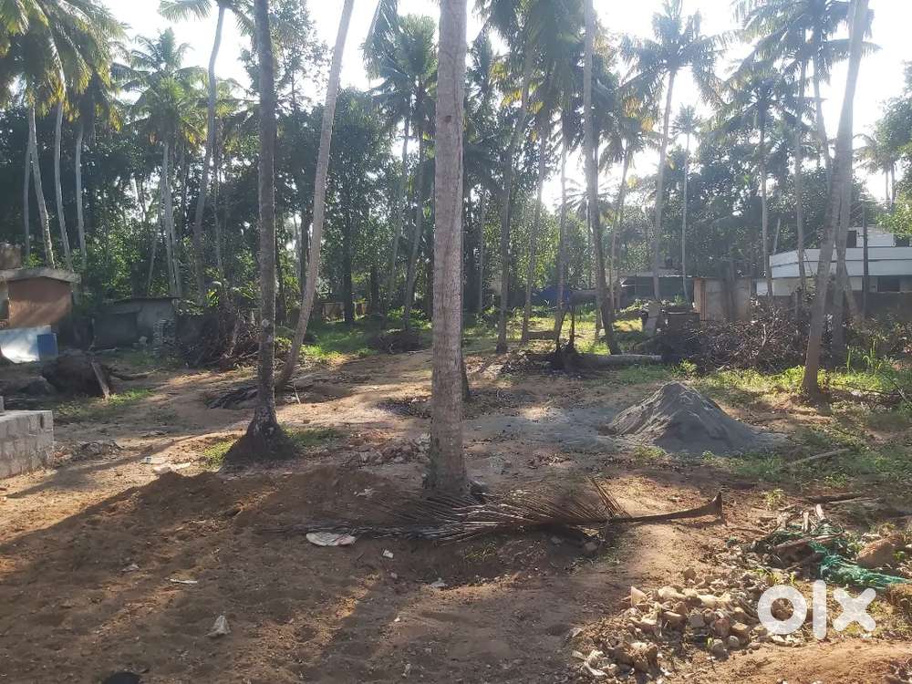 12 cents land for sale