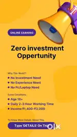 Without investment work from home