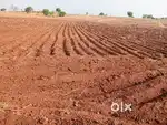 Farming land