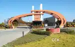 1891 sqft plot sell malwa county mangliya