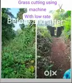 Grass cutting using machine
