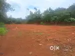 Valaboor busrout 100 mtr 5 cent houseplot purayidam 2.5 lak cent