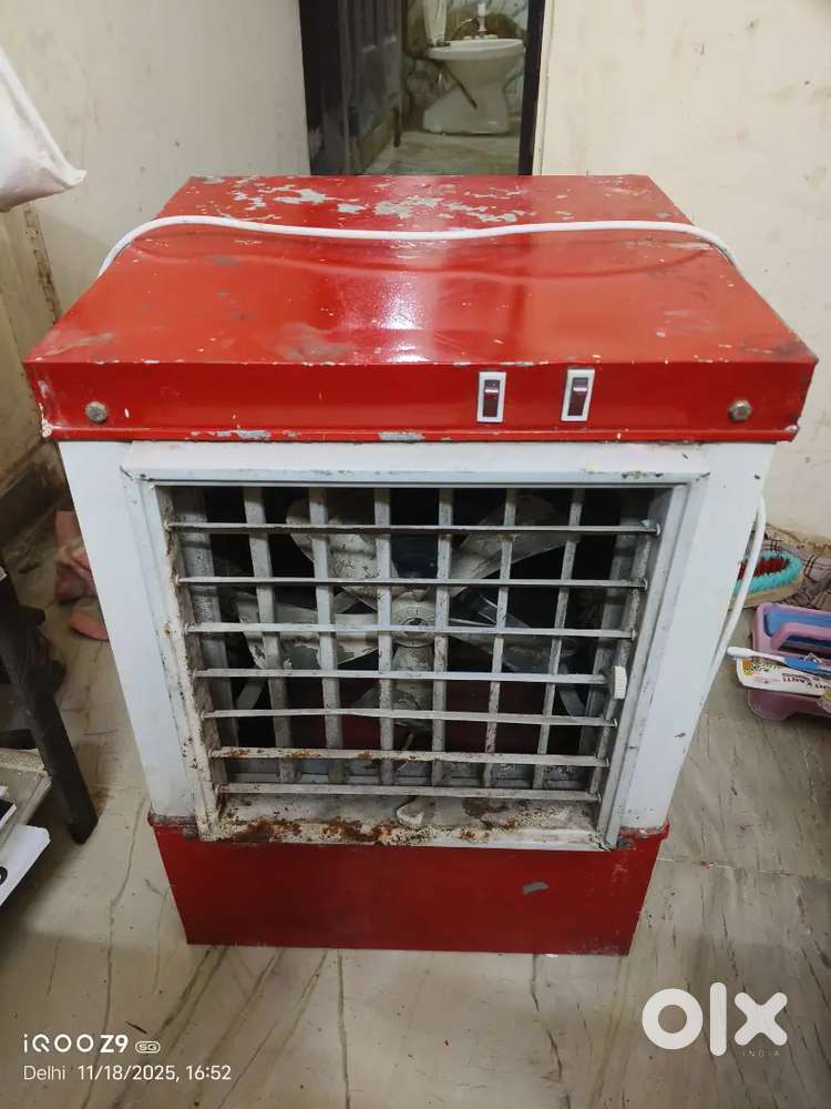 Small coller only 12 months old with new motor