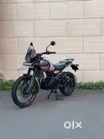 ONLY 3 MONTHS OLD HIMALAYAN 450