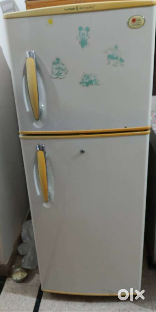 LG fridge 2 door