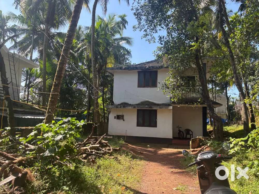 Urgent selling House at,Vadakara