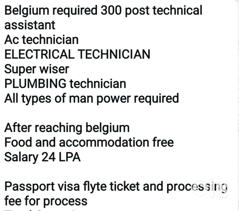 Job Opportunity in Belgium