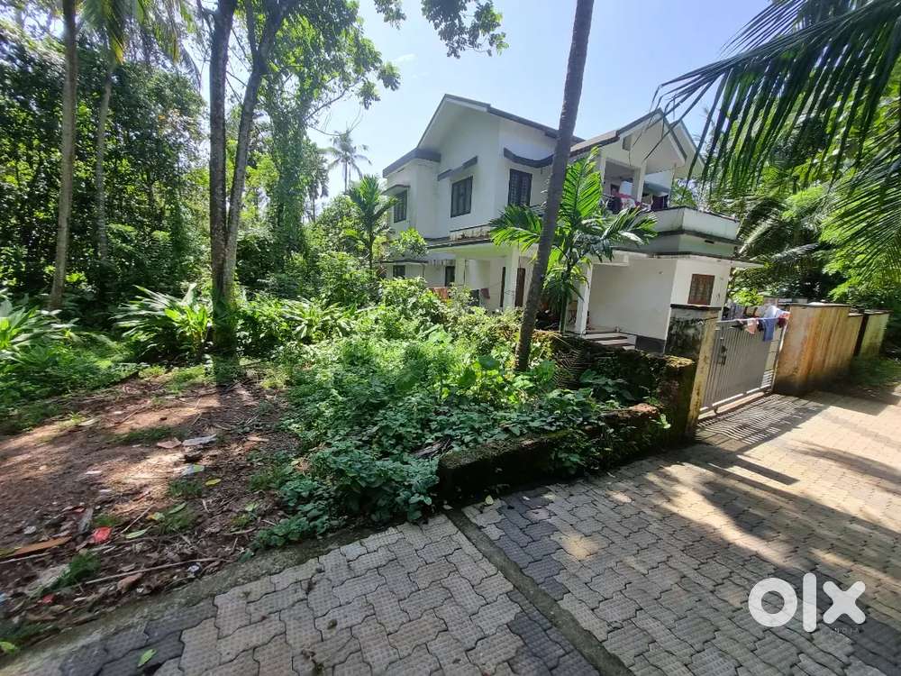 5.8 Cent Square Plot