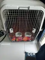 dog flight crate