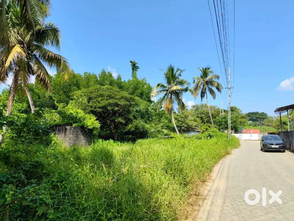 15 Cent Commercial Land  Near Bypass  9 Lakh