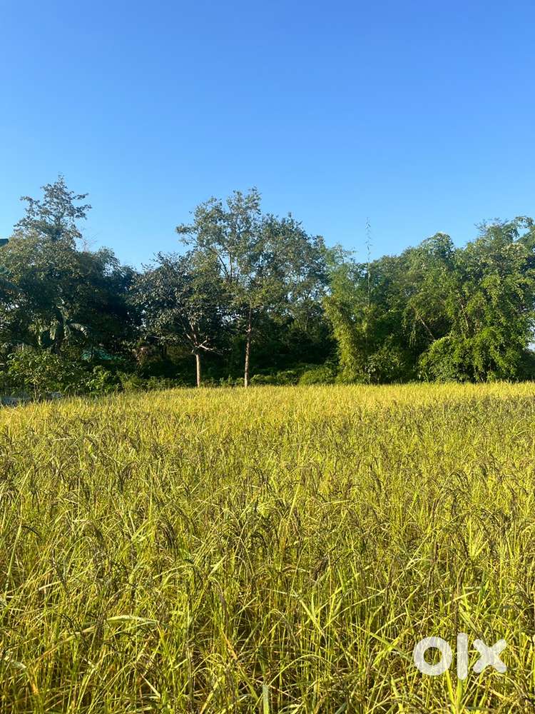 2kothaa mati price 7 lakh