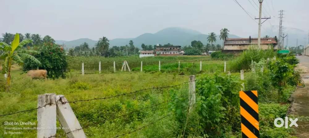 Commercial land near pusapatirega