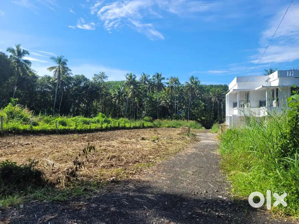 Plot for Sale in Ponnukara