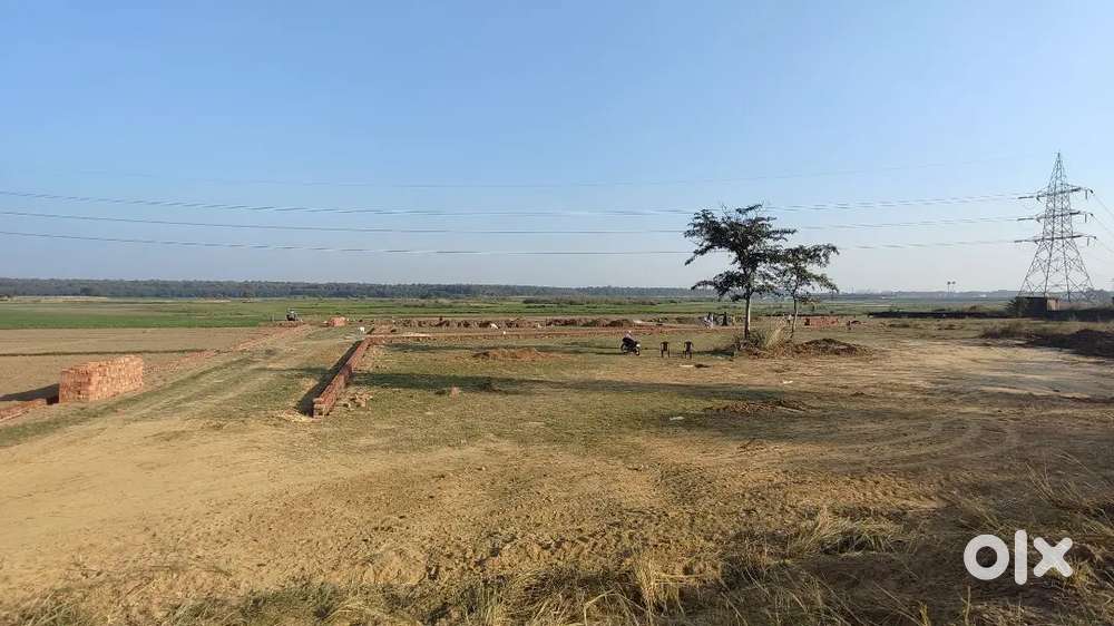 Baijnathpur gulariya