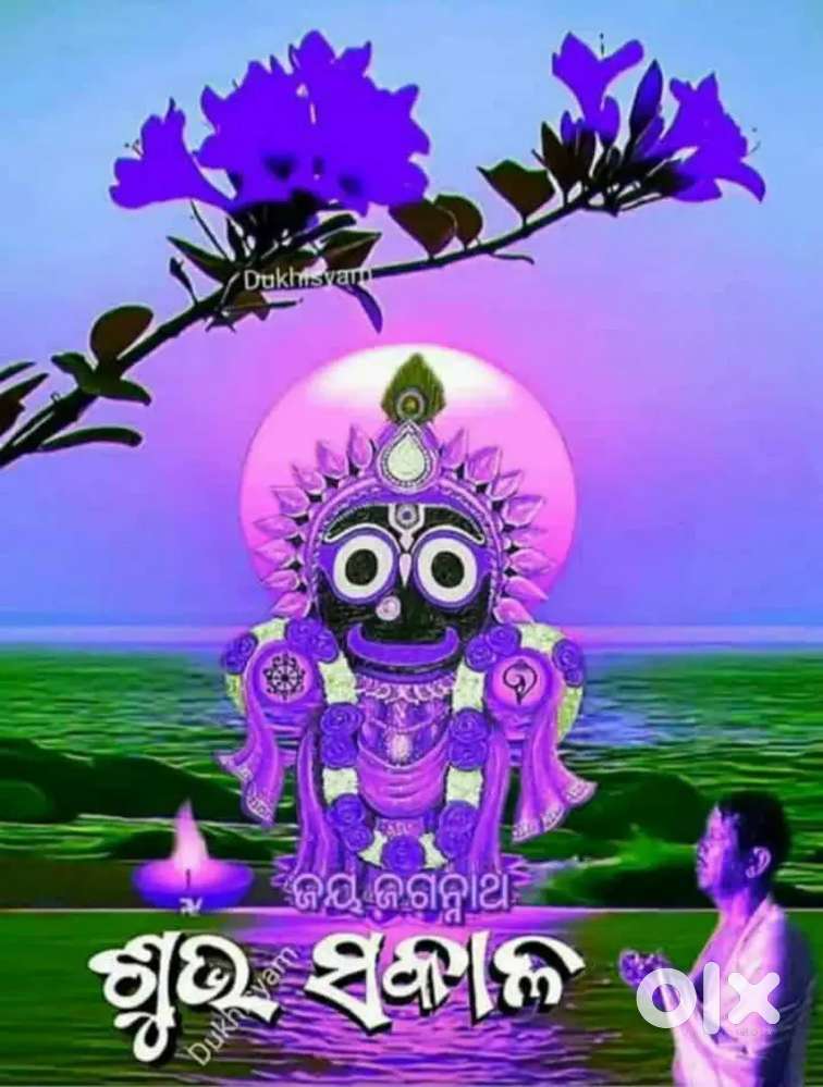 2 bhk simpelx for sell near by kalarahanga patia