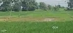 Plot sale urgent