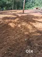 Plot for Sale in മരുതത്തൂർ നെയ്യാറ്റിൻകര (Urgent sale, Negotiable)