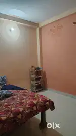 Need a girl room patner