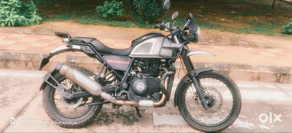 Single used himalayan