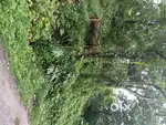Residential Plot for Sale – 2000 sq. ft., Near Duga School.