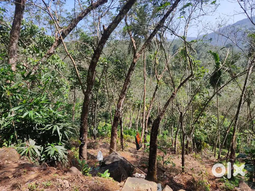 1ഏക്കർ 90 സെൻറ്,